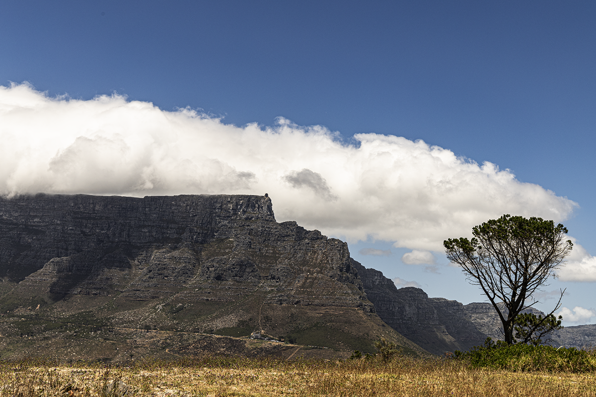 Table Mountain, Capetown